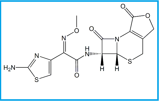 CEFOTAXIME EP IMPURITY E